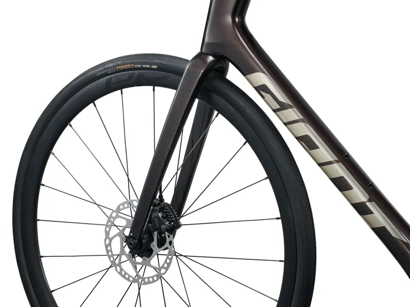 Giant Defy Advanced 1 2027 Carbon Endurance Road Bike - Obsidian Pulse-3