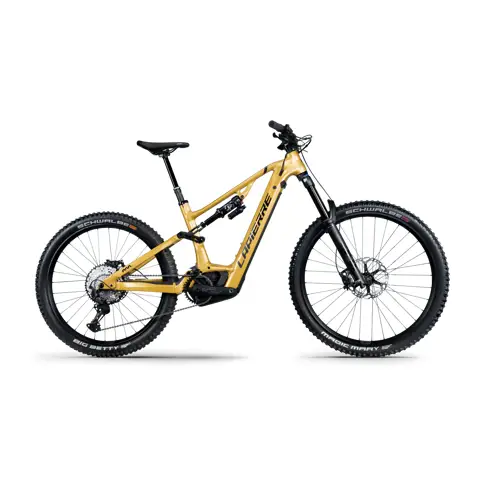 Lapierre e mtb 2020 shop
