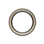 Panaracer Agilest for Brompton Folding Tyre 16 x 1.35in - Black/Amber