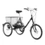 Pashley Picador Tricycle - Buckingham Black