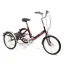 Pashley Tri-1 7 Speed Folding Tricycle - Burgundy