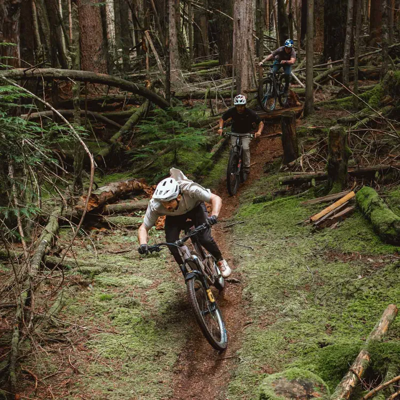 Schwalbe Romy Gravity Pro Radial Folding TLR MTB Tyre - 27.5 x 2.50-4