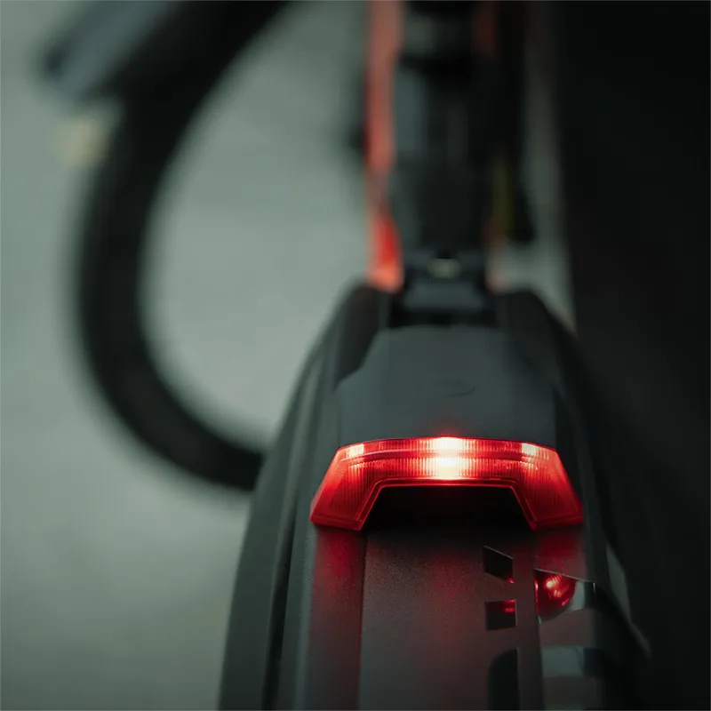 SKS Rowdy Rear USB Mudguard Light - Black-4