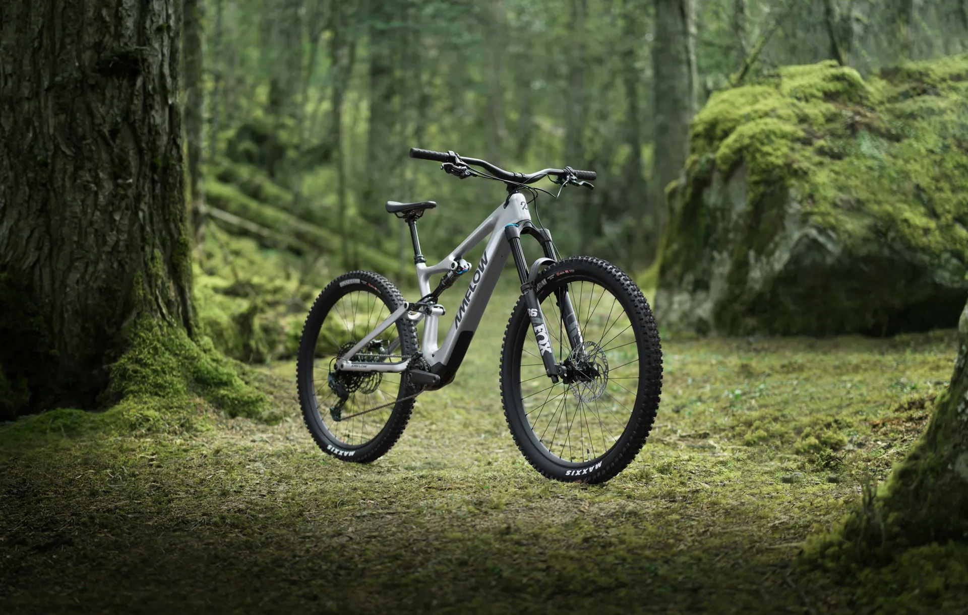 Amflow PL Carbon 800Wh 2025 Electric Mountain Bike Silver