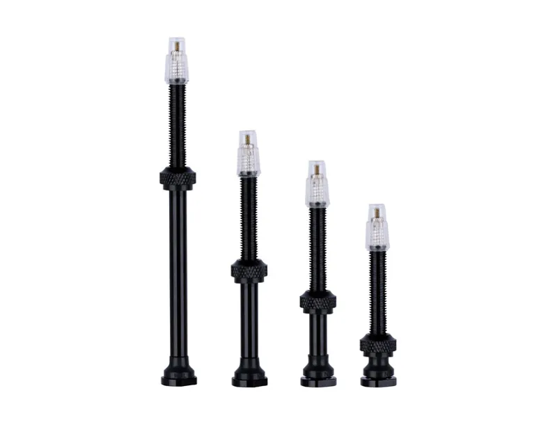 Vision Tubeless Valves - Black