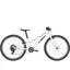Trek Wahoo 24 Path 24w 2026 Junior Hybrid Bike - Crystal White