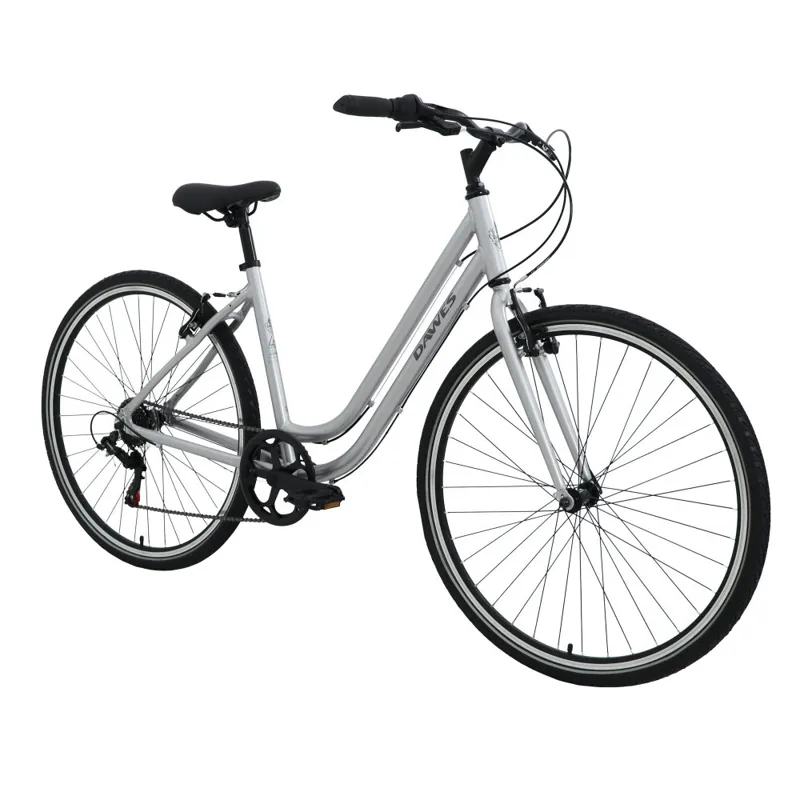 Dawes Venture 1.0 Low Step 2025 Women's Hybrid Bike - Silver-1