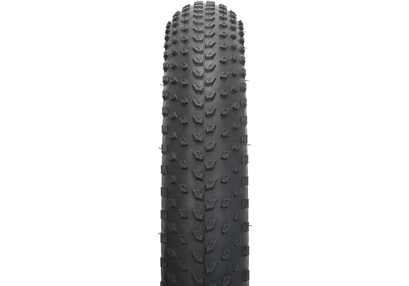 Specialized Big Roller Tyre