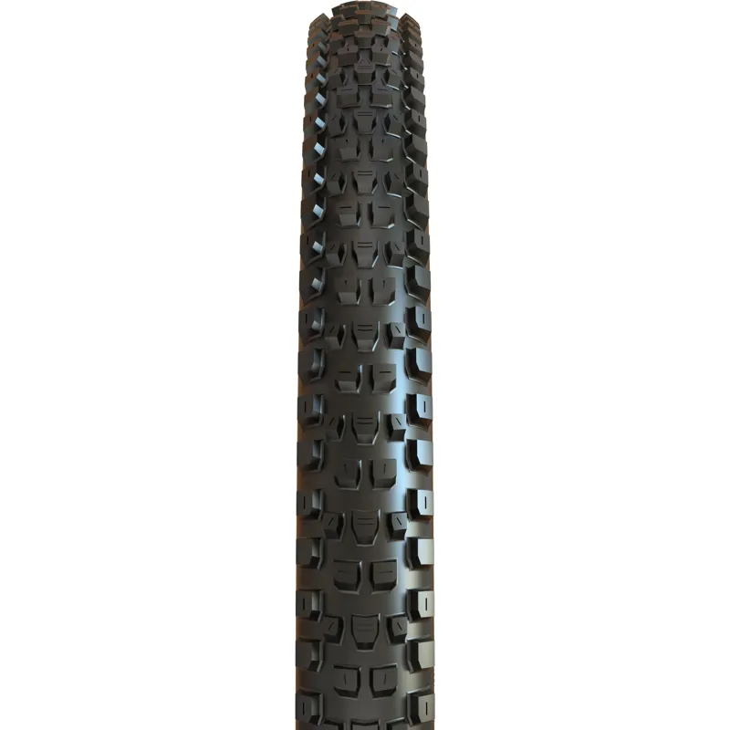 Maxxis Dissector G2 29x2.4 2x120 TPI Folding 3C MaxxGrip DD Tubeless Tyre-1