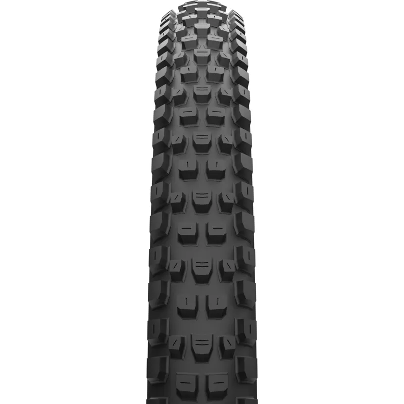 Maxxis Dissector G2 29 X 2.4 60 TPI Folding MaxxTerra EXO Tubless Tyre-1