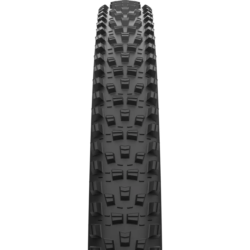 Maxxis Forekaster 29 x 2.40 60 TPI Folding MaxxTerra EXO Tubeless Tyre-1