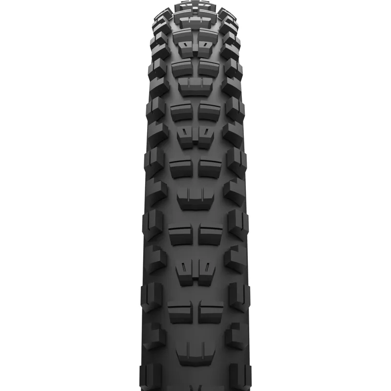Maxxis Minion DHR II 29x2.60 60 TPI Folding MaxxTerra EXO+ Tubeless Tyre-1
