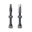 Peatys Holeshot Fast Flow Tubeless Valves - 42mm - Slate