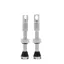 Peaty's x Chris King Tubeless MK2 Valves - 42mm - Silver