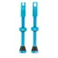 Peaty's x Chris King Tubeless MK2 Valves - 60mm - Turquoise