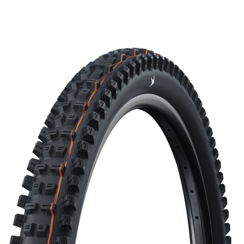 Schwalbe Tacky Chan Race Pro Soft Folding TLR MTB Tyre - 29 x 2.40 inch - Black