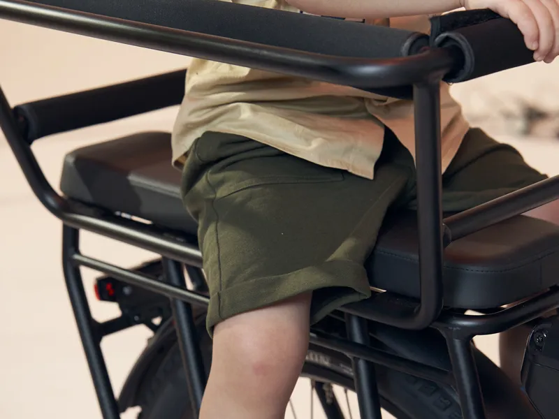 Momentum PakYak E+ Passenger Safety Bars - Black-1