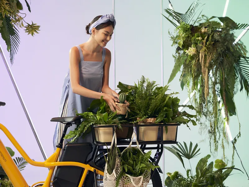 Momentum Pakyak E+ Rear Basket - Black-4