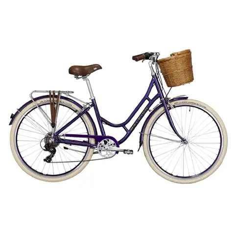 Raleigh women's hybrid bike sale